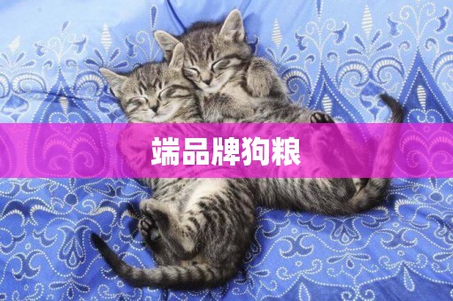 端品牌狗糧