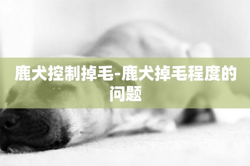鹿犬控制掉毛-鹿犬掉毛程度的問題
