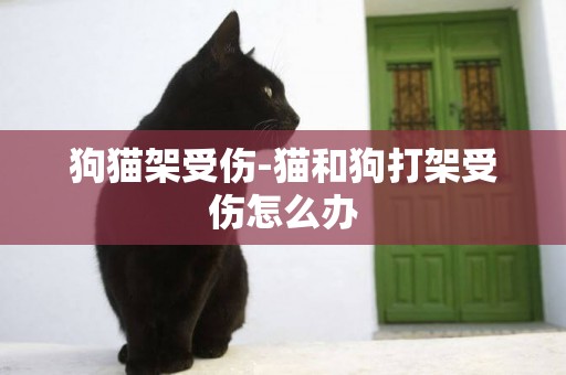 狗貓架受傷-貓和狗打架受傷怎么辦
