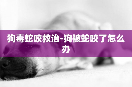 狗毒蛇咬救治-狗被蛇咬了怎么辦