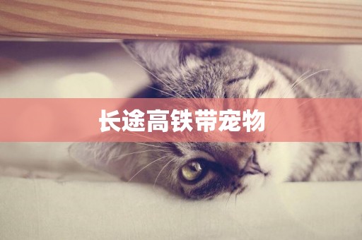 長途高鐵帶寵物
