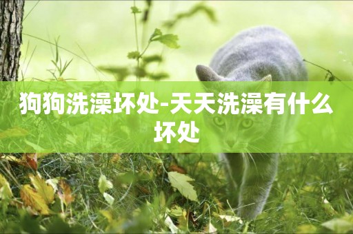 狗狗洗澡壞處-天天洗澡有什么壞處