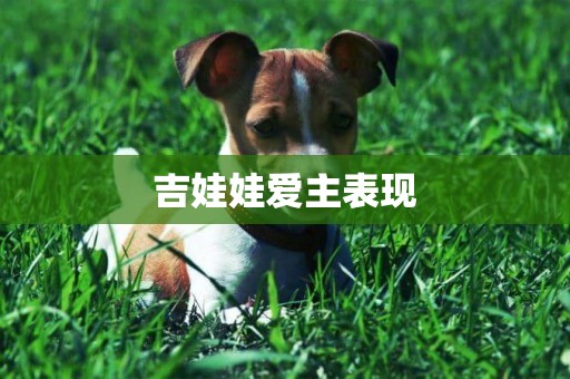 吉娃娃愛主表現