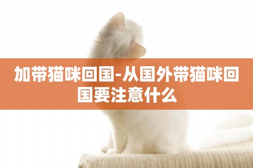加帶貓咪回國-從國外帶貓咪回國要注意什么