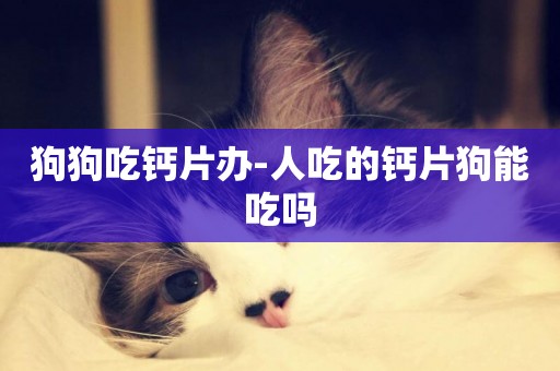 狗狗吃鈣片辦-人吃的鈣片狗能吃嗎