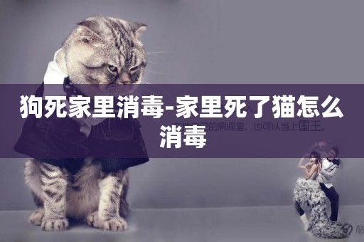 狗死家里消毒-家里死了貓怎么消毒