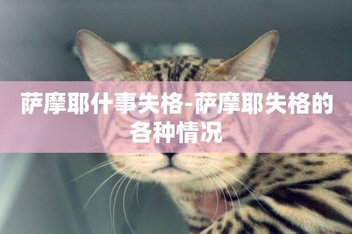 薩摩耶什事失格-薩摩耶失格的各種情況