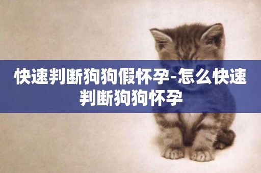 快速判斷狗狗假懷孕-怎么快速判斷狗狗懷孕