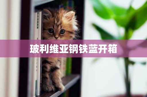 玻利維亞鋼鐵藍開箱