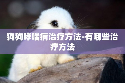 狗狗哮喘病治療方法-有哪些治療方法