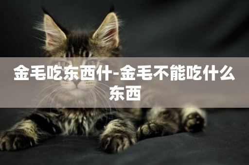 金毛吃東西什-金毛不能吃什么東西