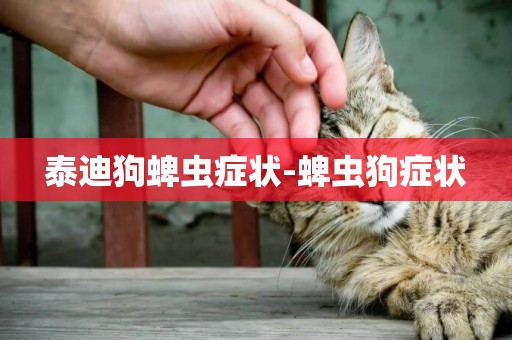 泰迪狗蜱蟲癥狀-蜱蟲狗癥狀