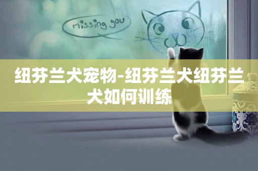 紐芬蘭犬寵物-紐芬蘭犬紐芬蘭犬如何訓練