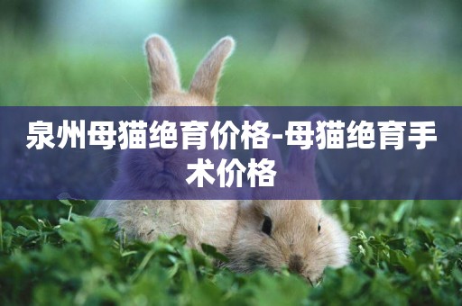 泉州母貓絕育價格-母貓絕育手術價格