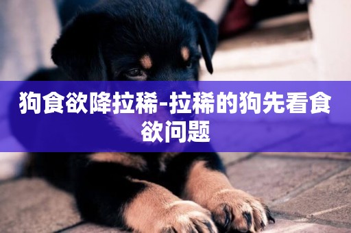 狗食欲降拉稀-拉稀的狗先看食欲問題