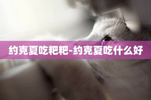 約克夏吃粑粑-約克夏吃什么好