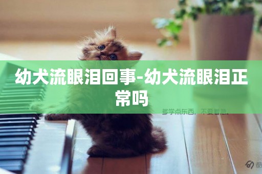 幼犬流眼淚回事-幼犬流眼淚正常嗎