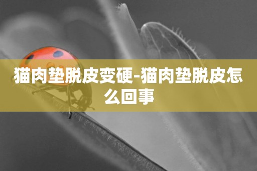 貓肉墊脫皮變硬-貓肉墊脫皮怎么回事