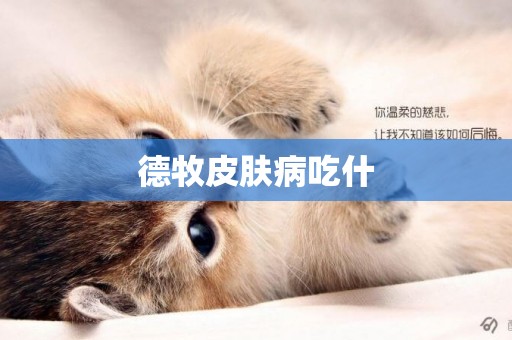 德牧皮膚病吃什