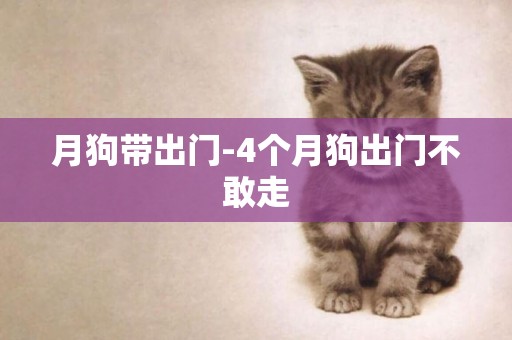 月狗帶出門-4個月狗出門不敢走