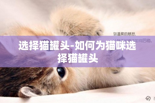 選擇貓罐頭-如何為貓咪選擇貓罐頭