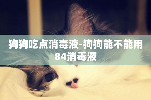 狗狗吃點消毒液-狗狗能不能用84消毒液