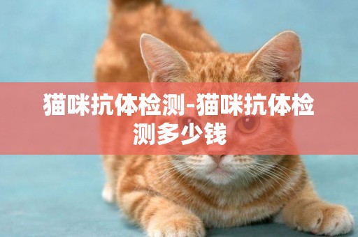 貓咪抗體檢測-貓咪抗體檢測多少錢