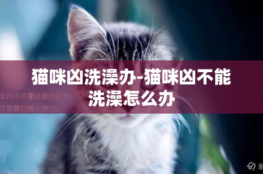 貓咪兇洗澡辦-貓咪兇不能洗澡怎么辦