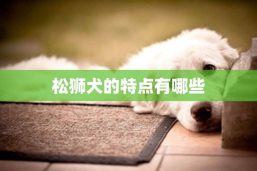 松獅犬的特點有哪些