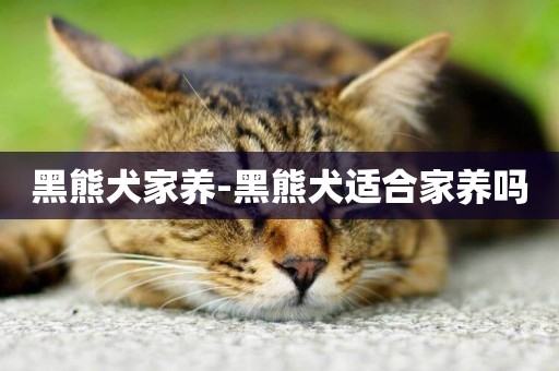 黑熊犬家養-黑熊犬適合家養嗎