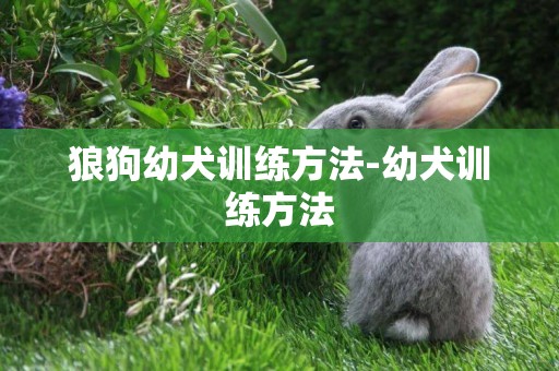 狼狗幼犬訓練方法-幼犬訓練方法