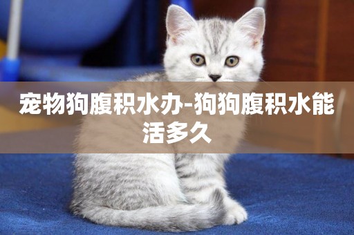 寵物狗腹積水辦-狗狗腹積水能活多久