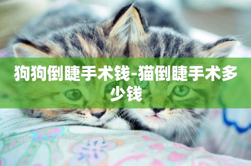 狗狗倒睫手術錢-貓倒睫手術多少錢