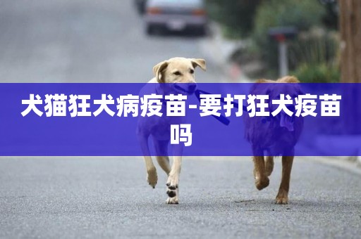 犬貓狂犬病疫苗-要打狂犬疫苗嗎