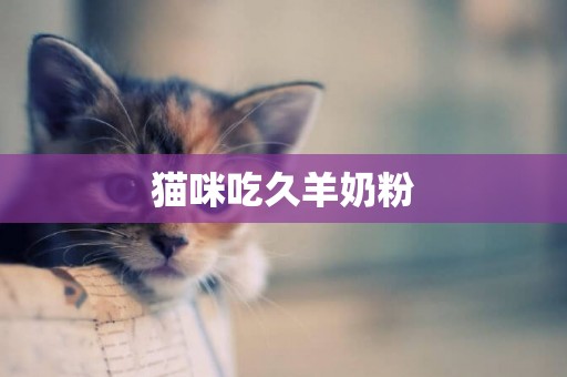 貓咪吃久羊奶粉
