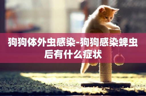 狗狗體外蟲感染-狗狗感染蜱蟲后有什么癥狀