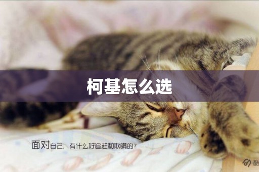 柯基怎么選