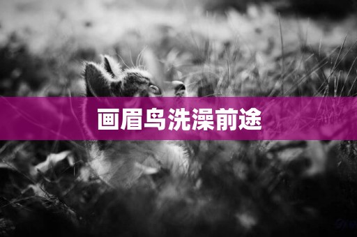 畫眉鳥洗澡前途