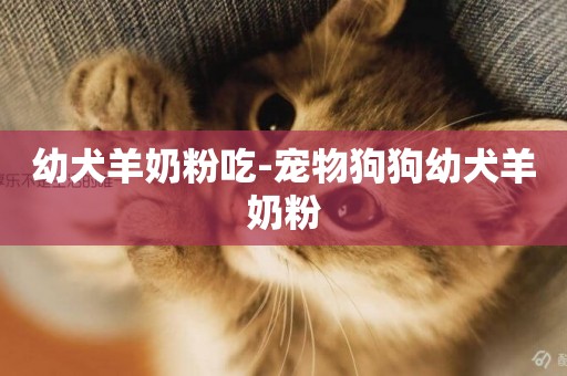 幼犬羊奶粉吃-寵物狗狗幼犬羊奶粉