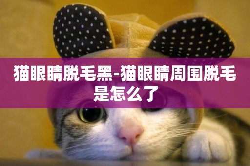 貓眼睛脫毛黑-貓眼睛周圍脫毛是怎么了