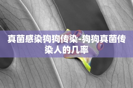 真菌感染狗狗傳染-狗狗真菌傳染人的幾率