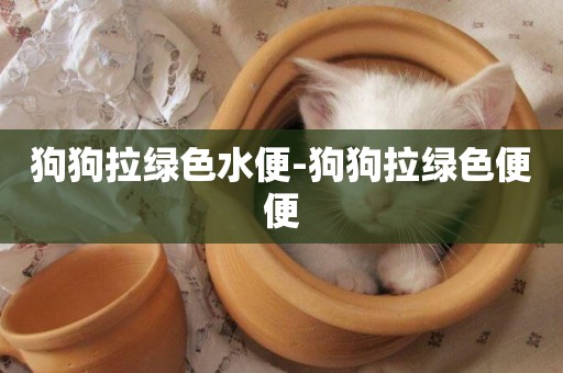 狗狗拉綠色水便-狗狗拉綠色便便