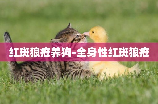 紅斑狼瘡養狗-全身性紅斑狼瘡
