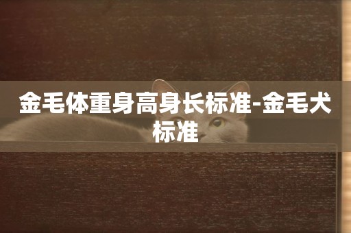 金毛體重身高身長標準-金毛犬標準