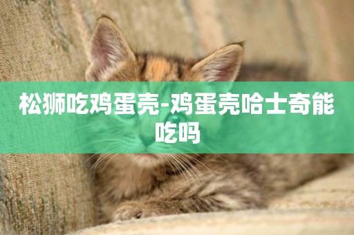 松獅吃雞蛋殼-雞蛋殼哈士奇能吃嗎