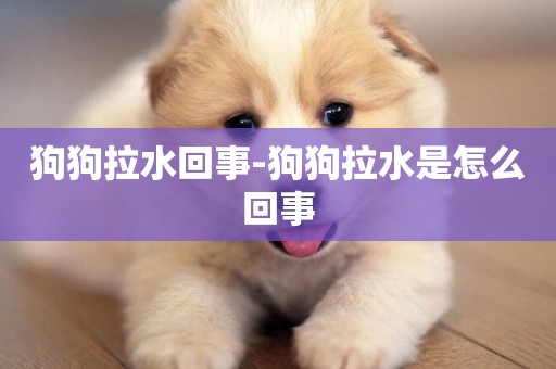 狗狗拉水回事-狗狗拉水是怎么回事