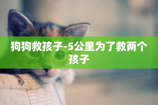 狗狗救孩子-5公里為了救兩個孩子