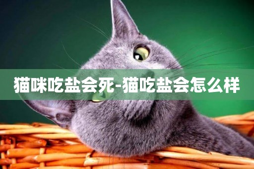 貓咪吃鹽會死-貓吃鹽會怎么樣