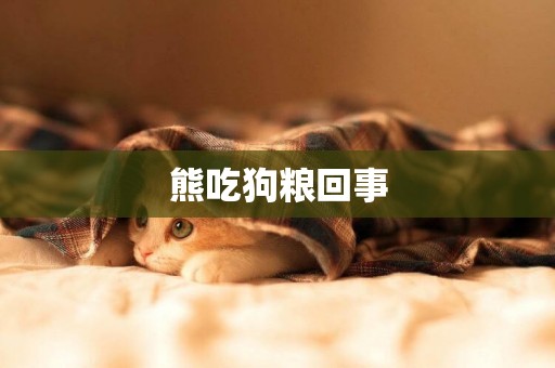 熊吃狗糧回事