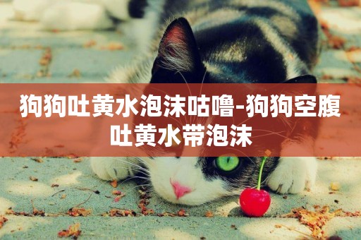 狗狗吐黃水泡沫咕嚕-狗狗空腹吐黃水帶泡沫